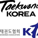 대한태권도 이미지
