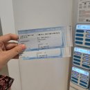 바람과 빛, 민화 소품 만들기 | [서울/여의도] 여름전시 더현대 여의도 2025 앨리스달튼 브라운 회고전 후기