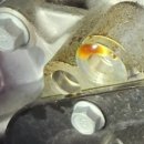 현대자동차금산점 이미지