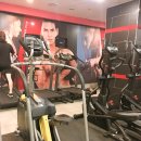 고릴라 멀티짐 이미지