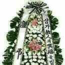 수원-0803 이미지