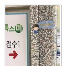 집톡스 이미지