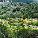 장태산자연휴양림 캠핑장 이미지