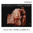 설여성의원 | 29주5일 수축인거같아 방문한 연세맘스그린여성의원 / 입체초음파 후기