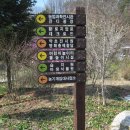 녹색공원 이미지