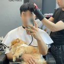 까까몽 애견미용실 | 부평 남자 미용실 하이포인트 맨즈헤어 문쌤 드롭컷