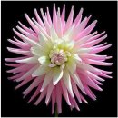 보정공인중개사사무소 이미지