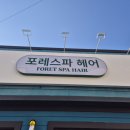 포레스파헤어