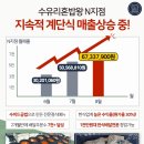 수유리혼밥왕 - 광산구 | 수유리혼밥왕