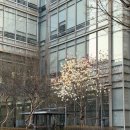 (주)오로라시스템 | Day 0 헤헤 휴가간다 아이슬란드로 | 헬싱키 유럽 입국 EES 등록 후기 살짝