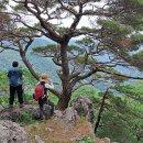 연석산&숲 이미지