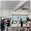 퍼블릭 복싱 이미지