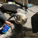 섬지캠핑장 이미지