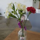 섬진강 한의원 이미지