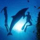 바다속이야기 이미지