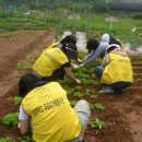 푸르미농장 이미지