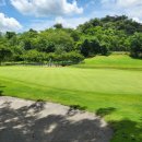 더센트럴골프 이미지