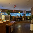 바니호프 이미지