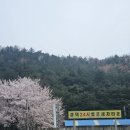 성덕24시셀프세차타운 이미지