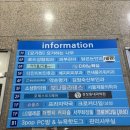 포레스트S헤어 | 까치산미용실 추천, 세팅펌/레이어드펌 후기 | 포레스트S헤어 까치산역점