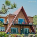 달빛아리수