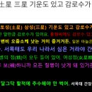 전대미문 이미지