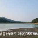평풍농장 네이버블로그