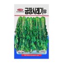 씨앗