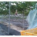 재은농장 이미지