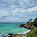 제주녹지리조트2 이미지