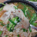 618 | [뽀통령_K5] 세차하기 전 배부터 채우고...(2014.07.27)