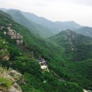 명산농장 Daum카페