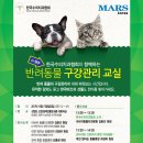 한국반려묘협회