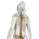 올바른서울병원 이미지