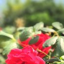 바른윤의원 이미지