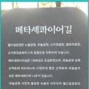 11월의 세번째 주말 아침에~~ 이미지