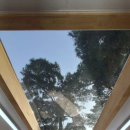 네이쳐 펜션 이미지