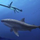 Team Shark | 영어 뉴스 공부 - 고대 거대 상어 발견, 기존 역사를 뒤흔들다