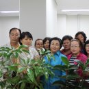 참아름 5단지 이미지