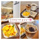 봄을담아 | 춘천명동카페 봄을담아 디저트맛집 주차,메뉴 정보 방문후기 🌸