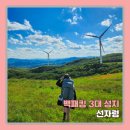 대성풍력 - 동구 경양로 304 | 백패킹 3대 성지, 백패킹 입문자가 가기좋은 낭만 가득 선자령 백패킹