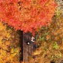 야간)요가A 이미지