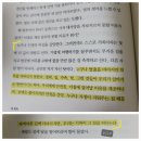 빅 픽처 (2번이나 읽음) 이미지