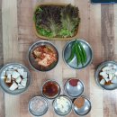 안국밥성서점 | 신당동수육맛집 신당동국밥 수육과 갈비만두가 맛있는 안국밥 성서점 다녀왔어요 솔직후기
