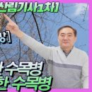 유한회사 진균