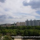 효정공원 이미지