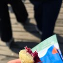 천산조경