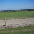 대평원목장 이미지