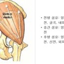 S&K 이미지
