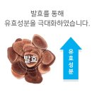 참다한홍삼 포항양덕 법원점 이미지